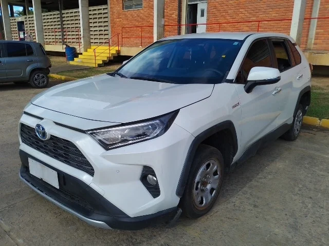 RAV4 HIBRID 2.5 LS 4WD ANO 2019